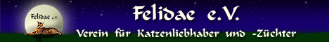 felidae
